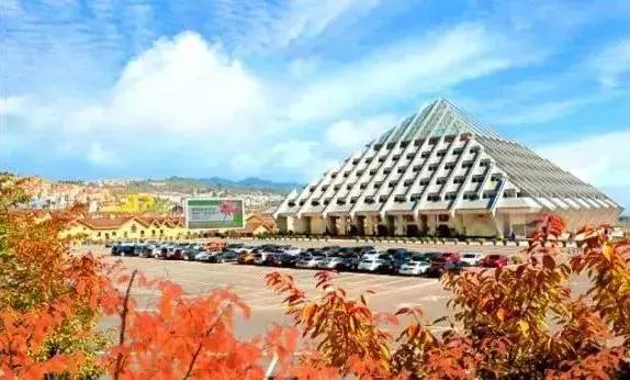 乡村振兴示范村是要拆了重新建吗,衡阳乡村振兴示范村规划编制招标