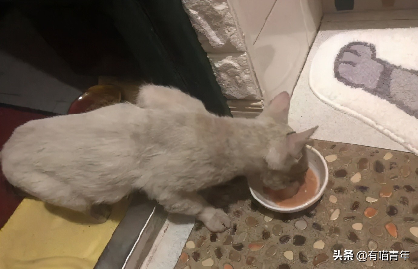 男子报警21岁喜当爹,男子喜当爹做了一件荒唐事