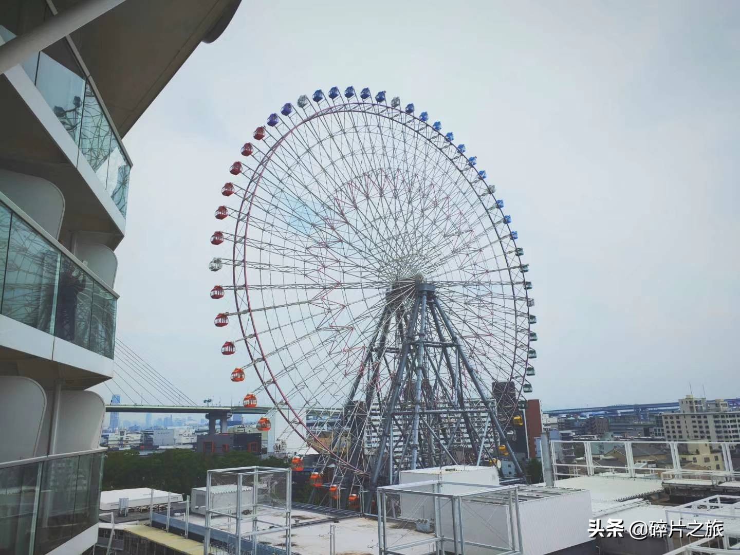 乘风破浪的姐们-上海日本豪华游轮六天五夜游攻略