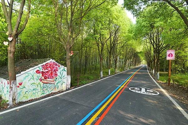 长三角城市群最佳旅游线路,长三角示范区旅游详细攻略