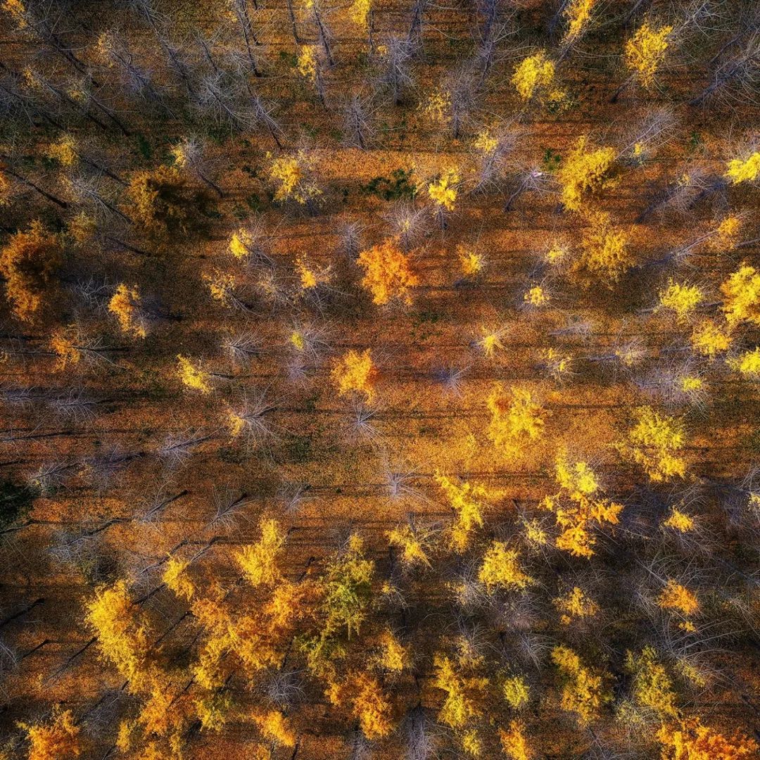 传奇徐州，无问南北