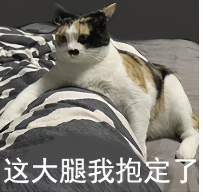 美国最强公立大学！届届承包奥运会全部金牌！UCLA，不说再见