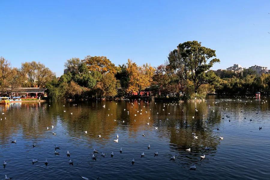 云南又一条冷门小众路线,滇东南世外桃源路线图