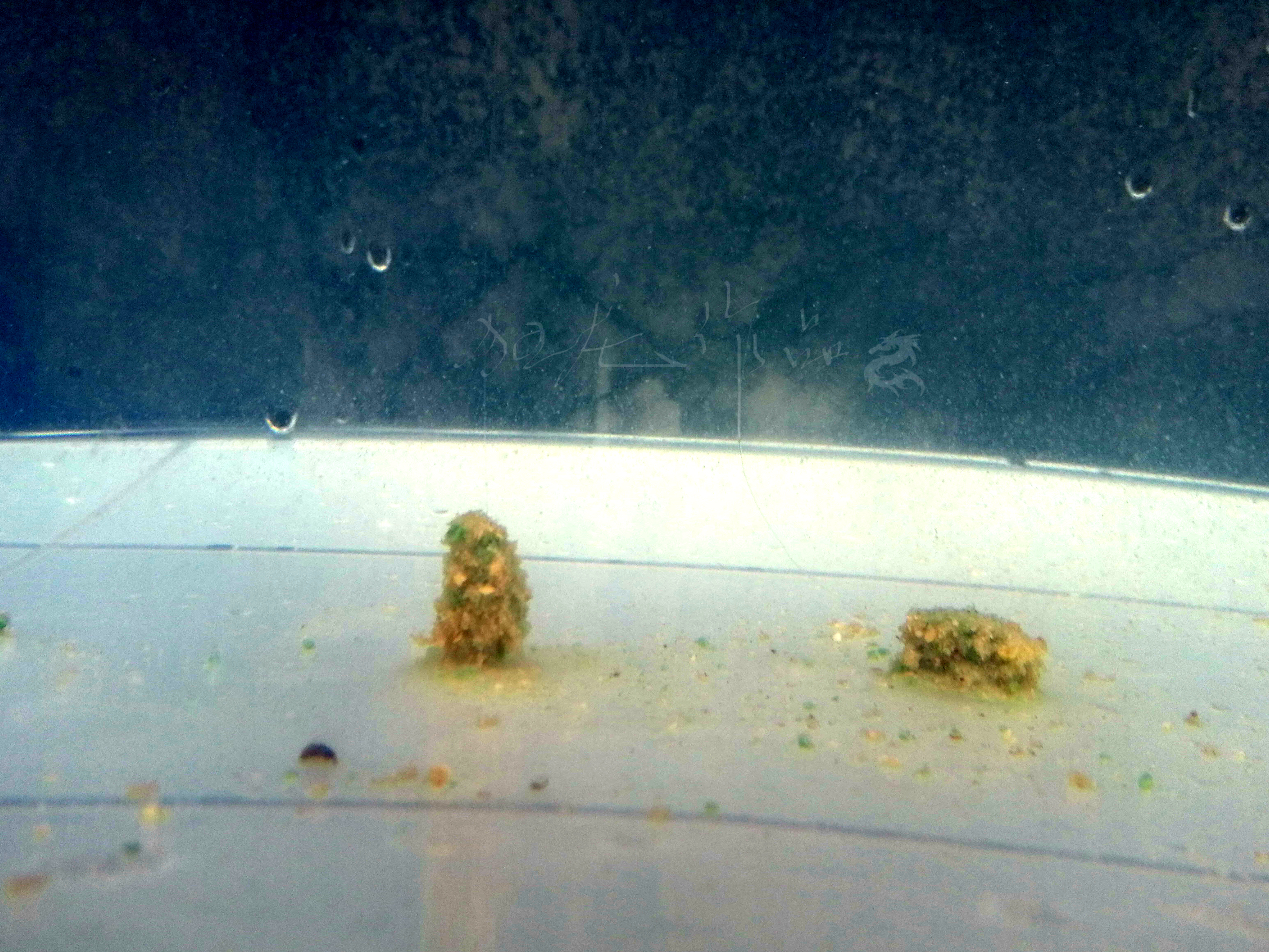 悬浮状态和漂浮状态,悬浮触底