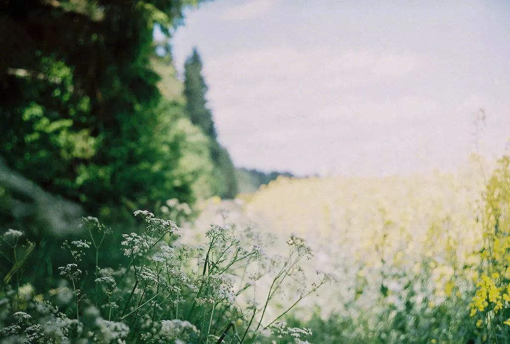 一年四季光阴流转的诗句,诗词陪我们走过人生的四季