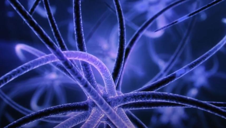 脑细胞植入术,大脑植入技术有什么用