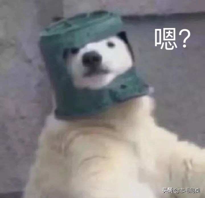 毕业三年月薪12000,毕业三年月薪1万正常吗