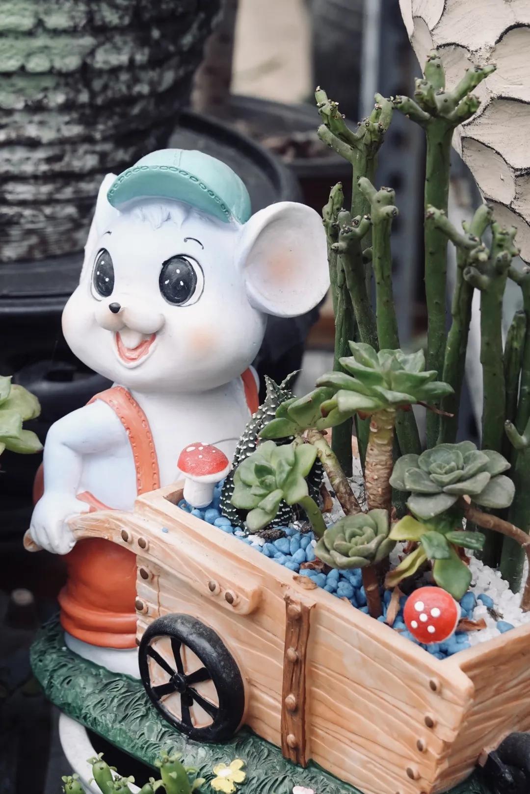 乌鲁木齐花市在哪里光明路附近,乌鲁木齐的花市在哪里