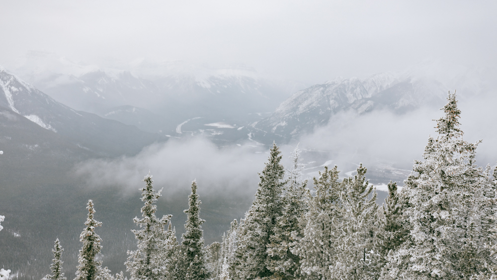 浣宠兘eosr,浣宠兘eosr浣跨敤鏁欑▼