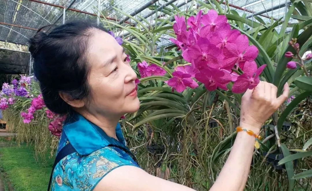 中国大妈旅游标配动作合集,中国大妈旅游拍摄姿势