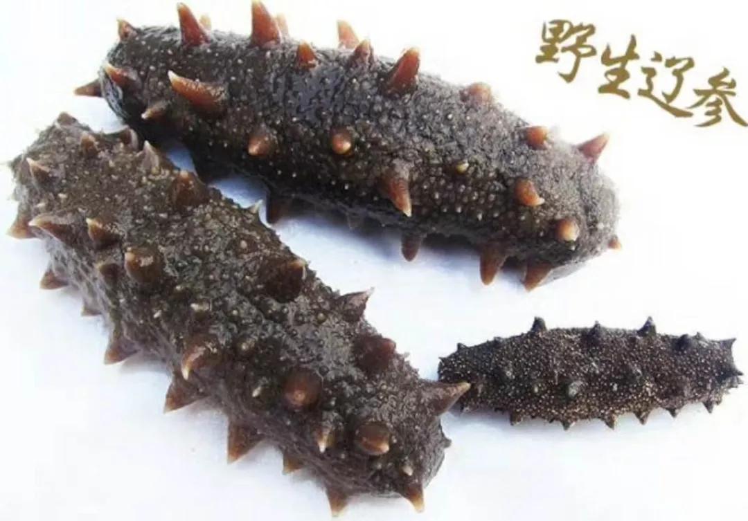 海参都怎么做好吃简单有营养,淡干海参和鲜食海参哪个更有营养