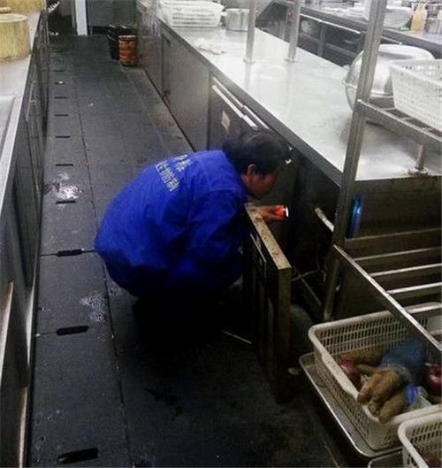 南京办公室灭蟑螂,重庆室内灭蟑螂