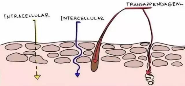 孕期护肤知识讲解,孕期护肤圣经