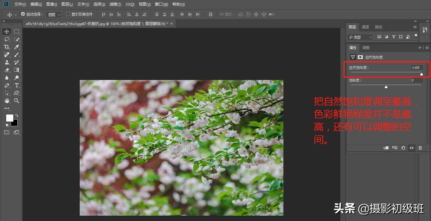 摄影饱和度怎么调,小白学摄影饱和度