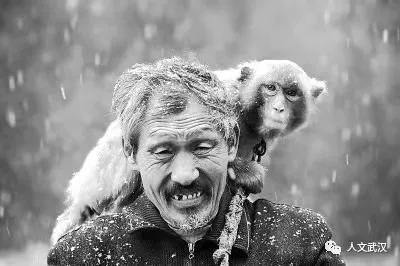 耍猴街头艺人,街头耍猴艺人视频大全