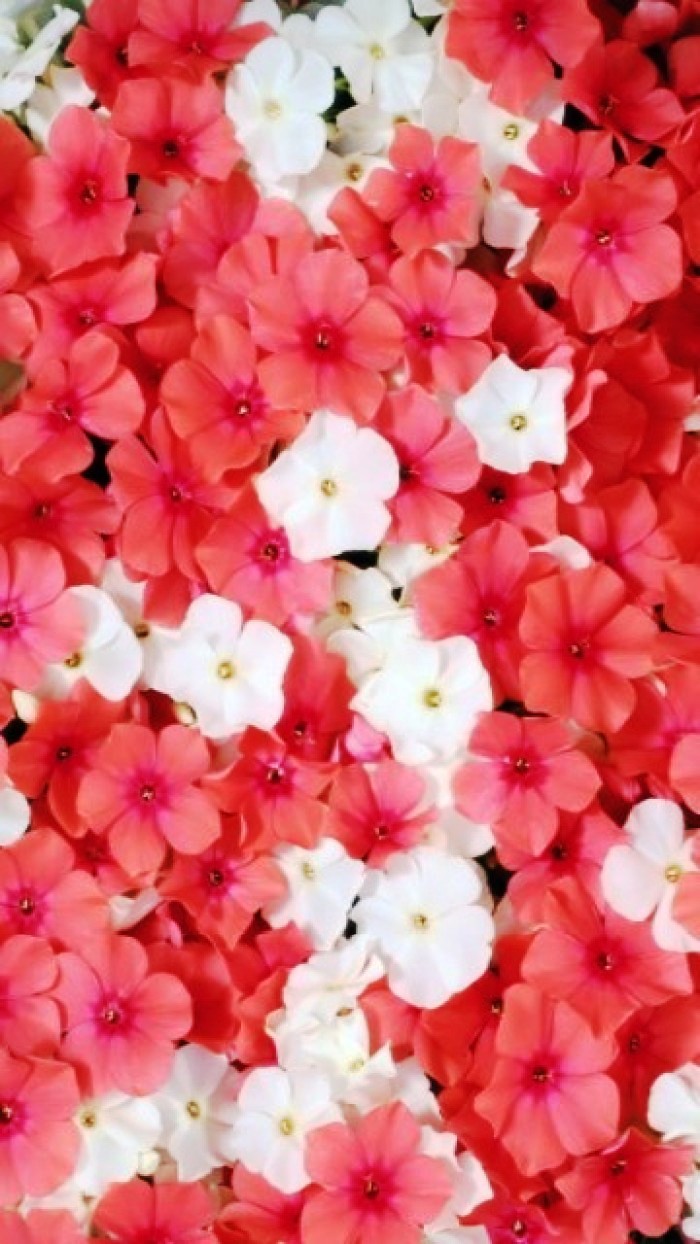 12月20日早安正能量阳光的说说,阳光心态正能量短句子很燃很励志