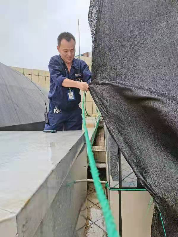 烟花来袭山东众志成城,烟花齐聚上海滩