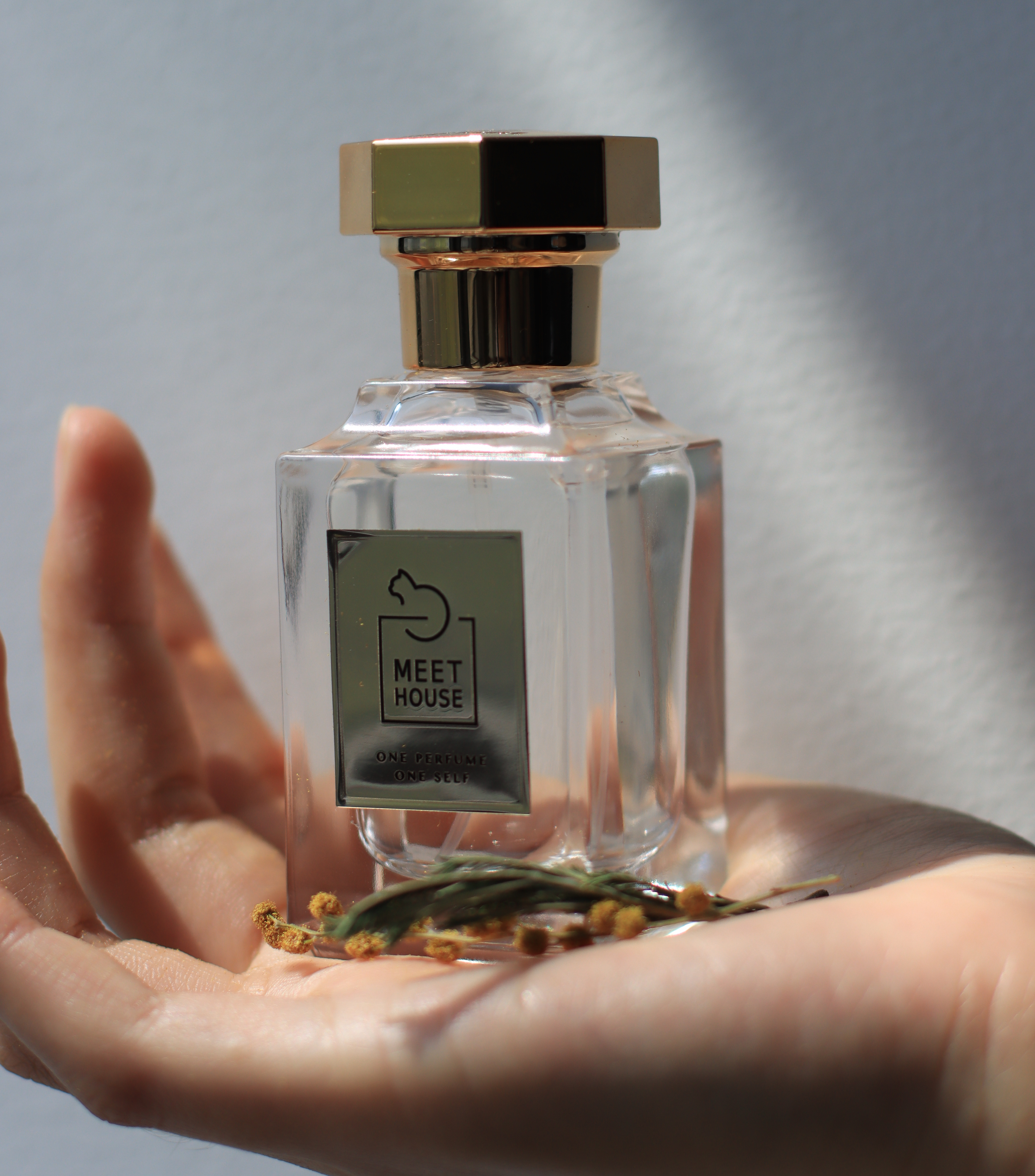 夏天甜甜的味道让人莫名的着迷,好闻的味道让人念念不忘