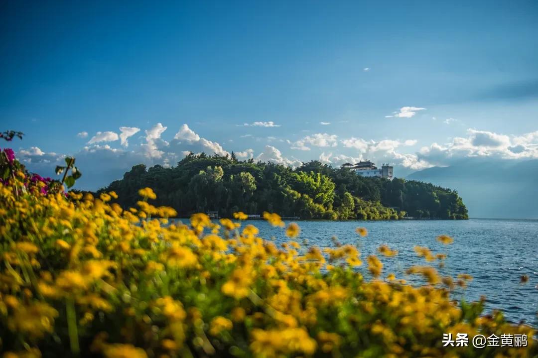 为什么云南女人长相好看,云南真的很漂亮吗