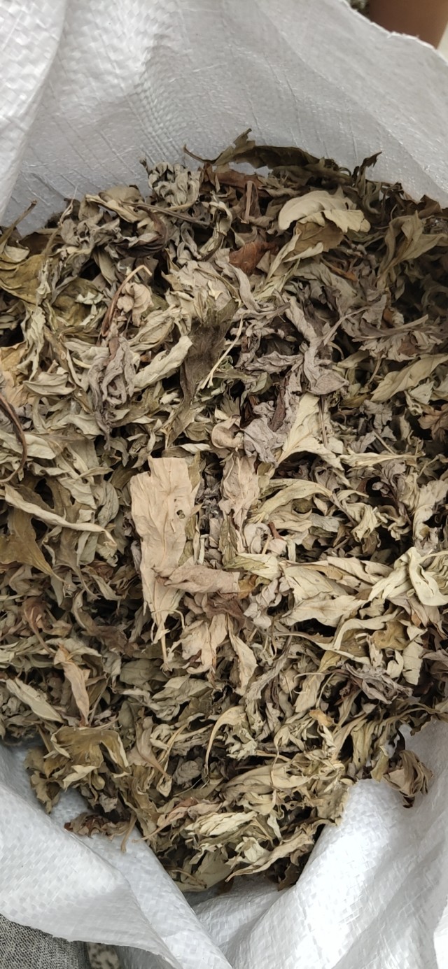 艾条自己怎么做,艾条怎么做出来