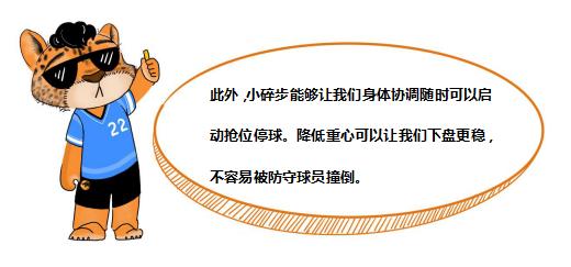 阿豹教学视频完整版,阿豹小课堂