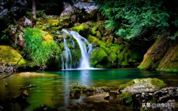 「黎明拾穗」43期诗词41首，首页篇篇造网红，风流戏子逞英雄