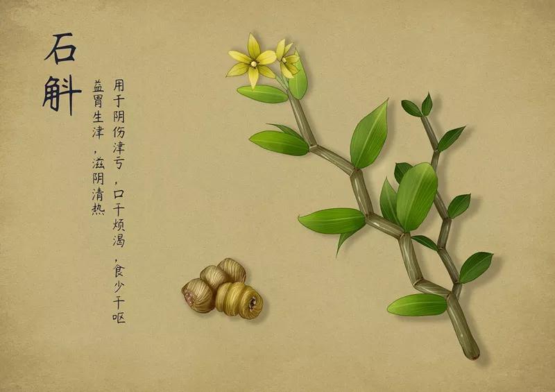 有奇效的极品仙草,中国神奇的十大仙草