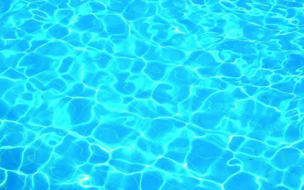 听说过斑马、斑点狗，你听说过斑点湖吗？