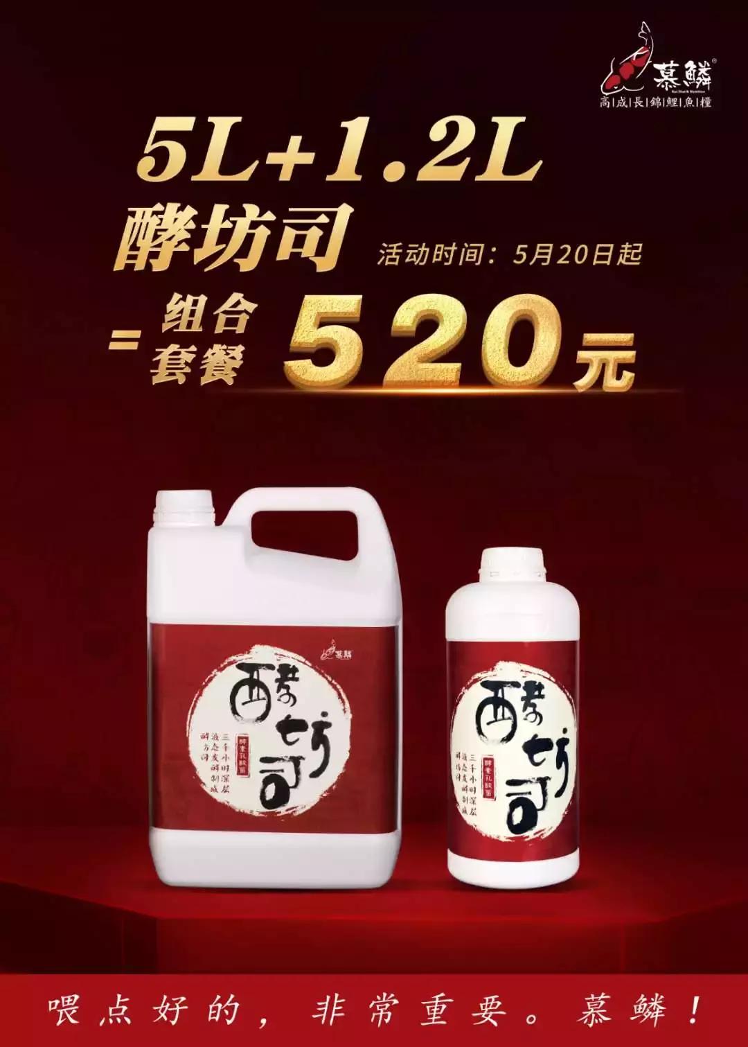 适合锦鲤池水面种植的植物,锦鲤鱼池能长什么植物