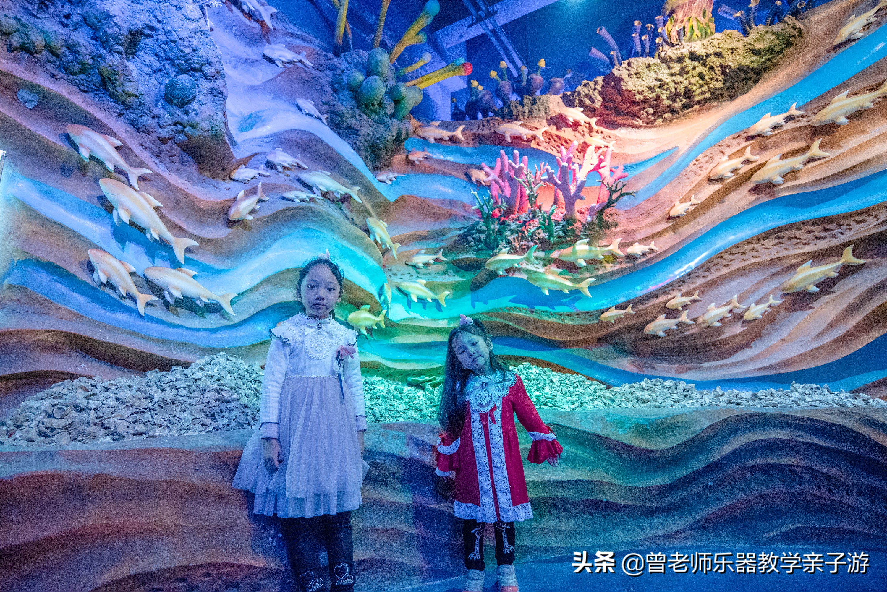 西安太奥海洋馆,西安极地海洋世界海豚表演