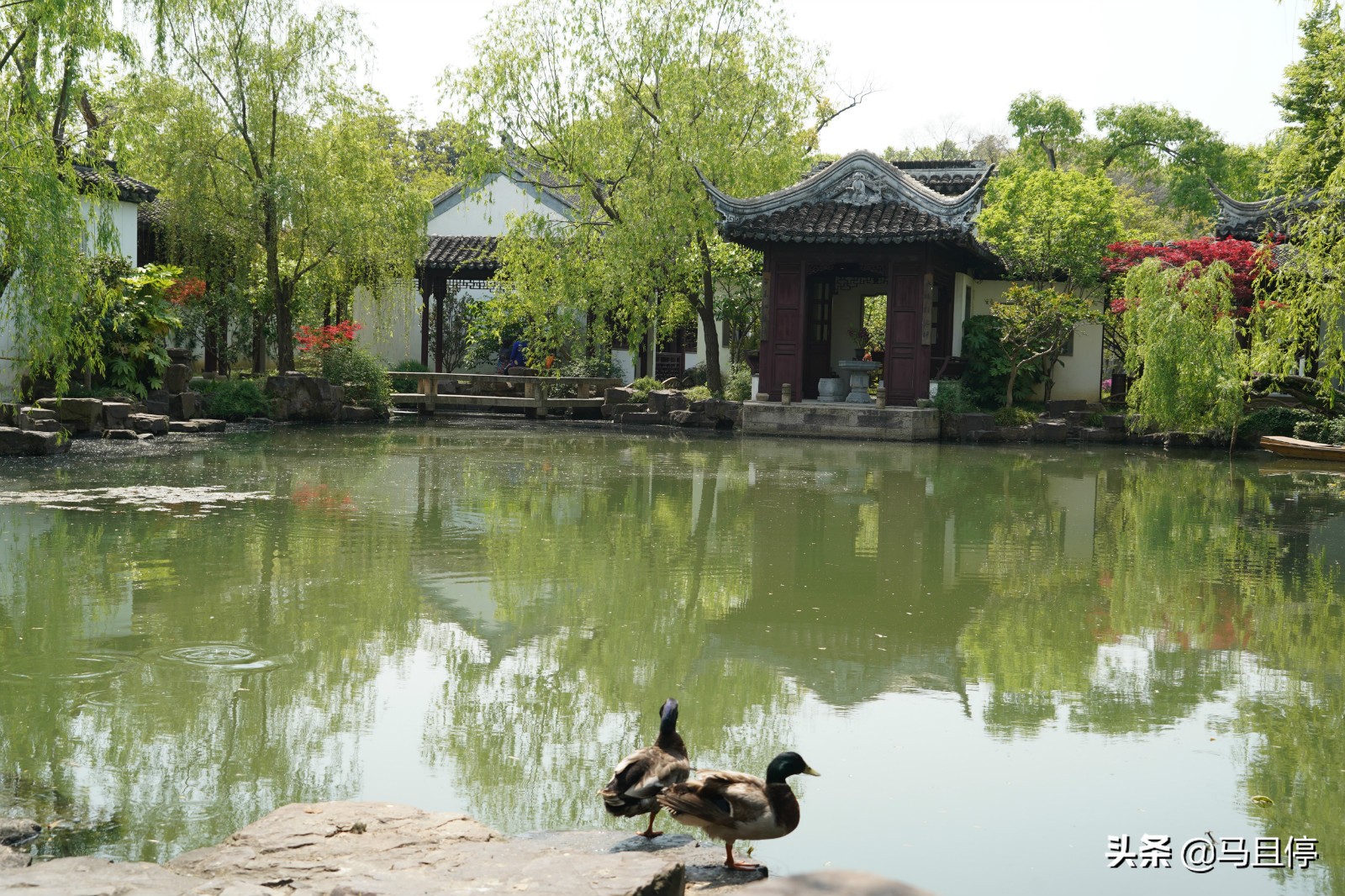 适合一个人旅游的地方推荐自由行,适合一个人旅游的地方1000左右