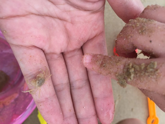 幸福旅行，宝宝第一次飞的去三亚