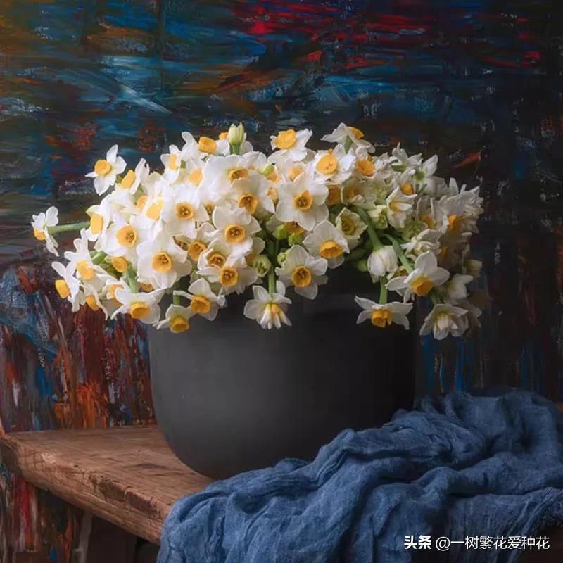 最毒的五种花不能在家里养,家里不能养的六种花会招来鬼