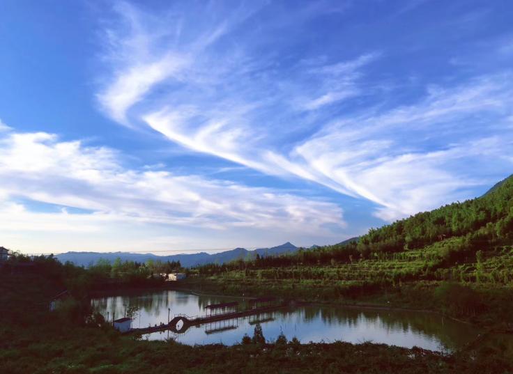 閲嶅簡涔℃潙缁垮寲缇庡寲寤鸿,缇庝附涔℃剚鍐滄潙缁垮寲缇庡寲