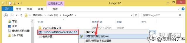 lingo11软件教学,lingo安装包及教程