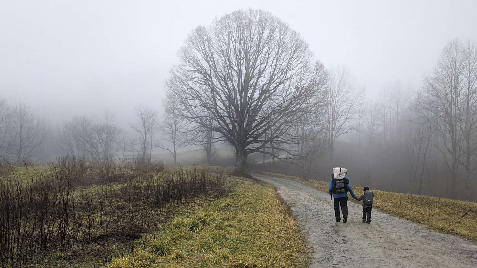 男孩徒步30公里后续,5岁男孩8公里徒步伤膝盖吗