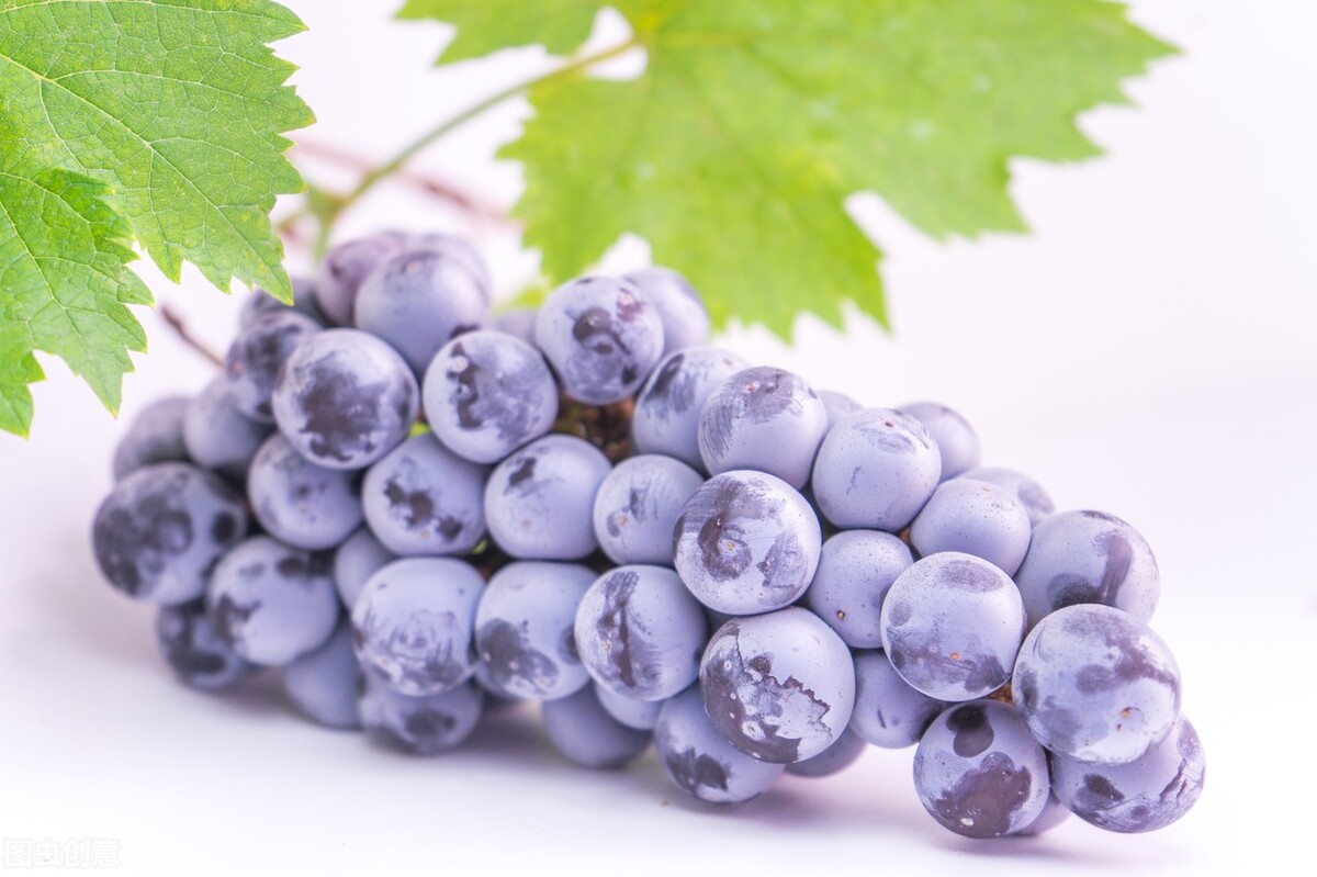 怀孕初期吃什么水果保胎效果最好,怀孕初期恶心吃什么水果可以缓解