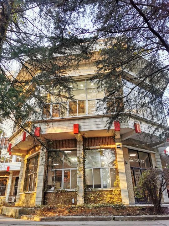 向往的生活1中的小院,精装版向往的生活