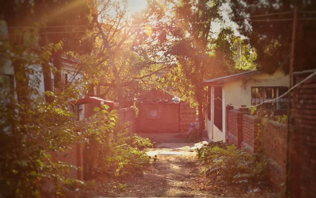 旅游三亚和厦门哪个更值得去,三亚和厦门哪个更值得去三亚旅游