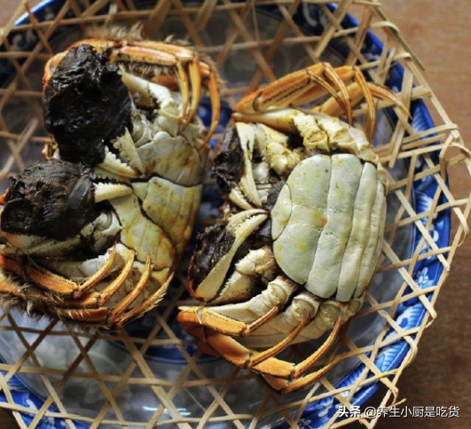 买回来大闸蟹能放多久,买回来大闸蟹可以放几天