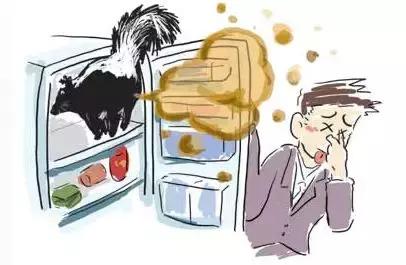 奶茶店有臭味怎么办,奶茶店如何快速去除异味