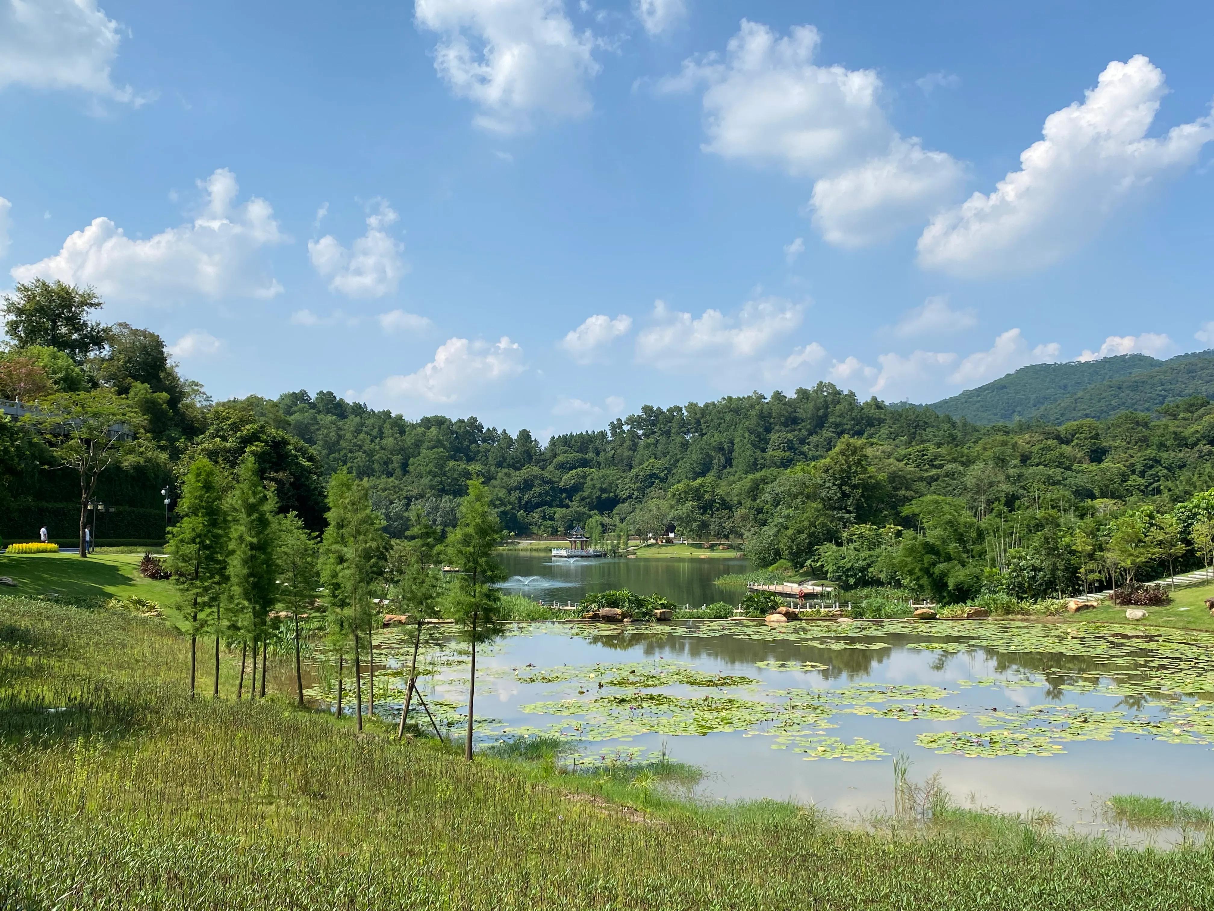 云浮新兴县六祖龙山温泉,六祖小镇龙山温泉