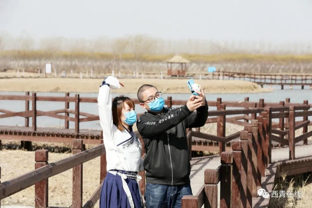 天津西青郊野公园开放最新通知,天津临港亲海公园什么时候开放