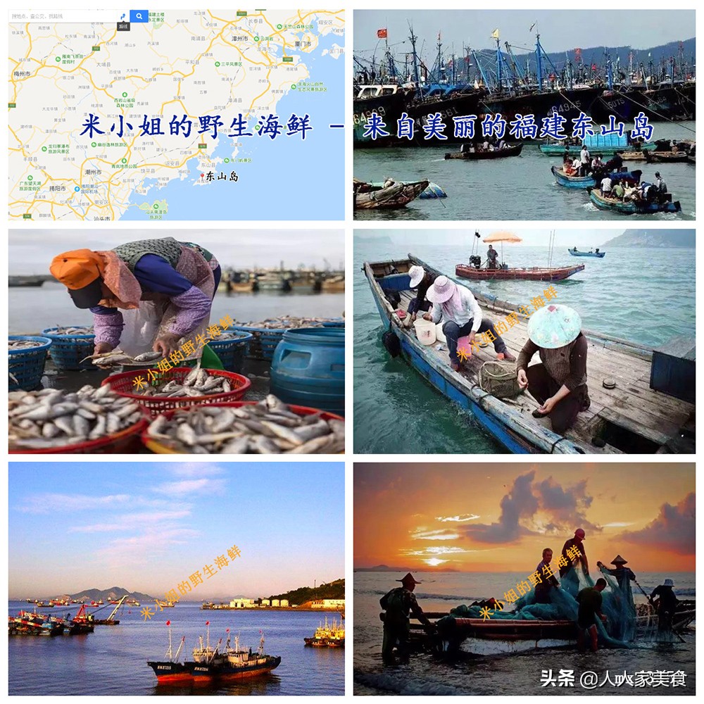 金鲳鱼的养殖技术要求是什么,选择养殖金鲳鱼的原因有哪些