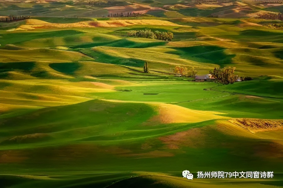 【老师去了，我每年来摩挲老师家的杨柳】