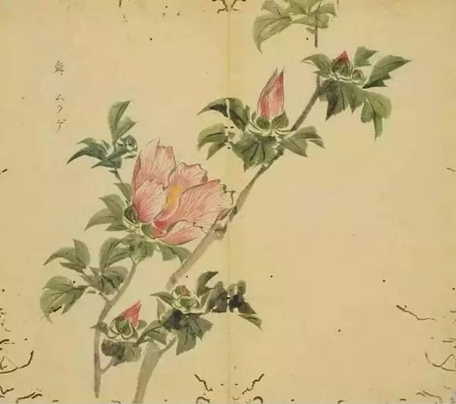 五千年来最美的20首诗,100首美到窒息的诗句