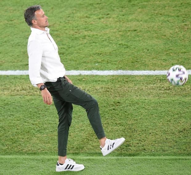 欧洲杯主教练,欧洲杯主帅服饰