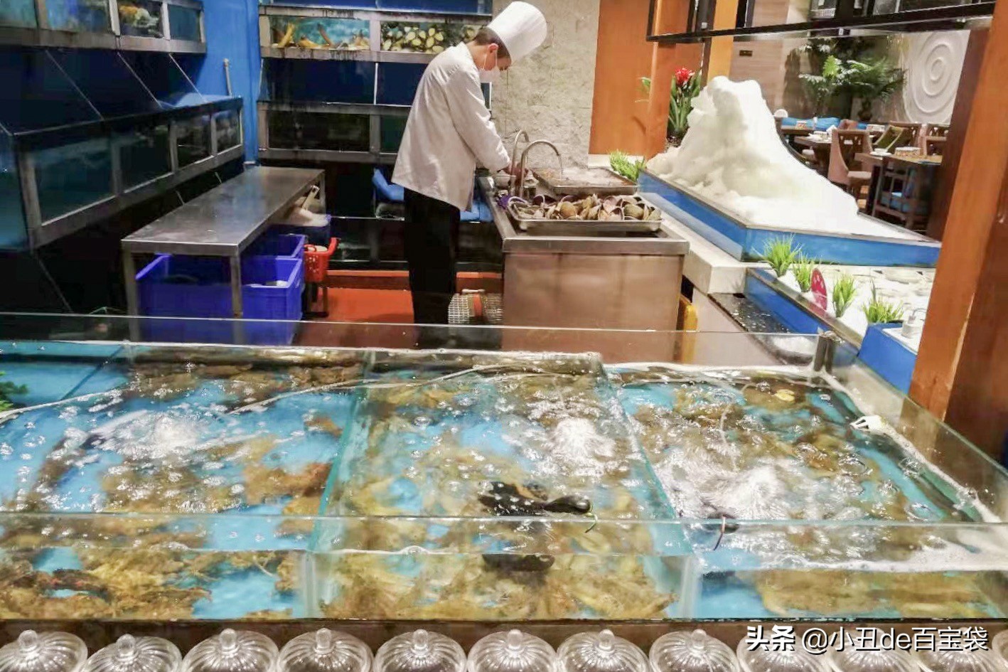 全球美食聚集城南这座“岛屿”，均价不到1块钱！