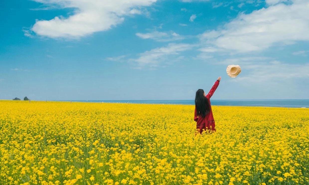 赏油菜花攻略,寻找最美油菜花可去这十大景点