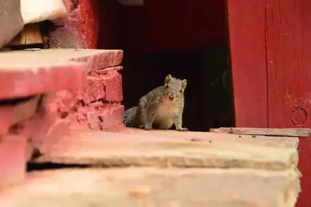 稻城亚丁白云,稻城亚丁风景没有想象中的那么美